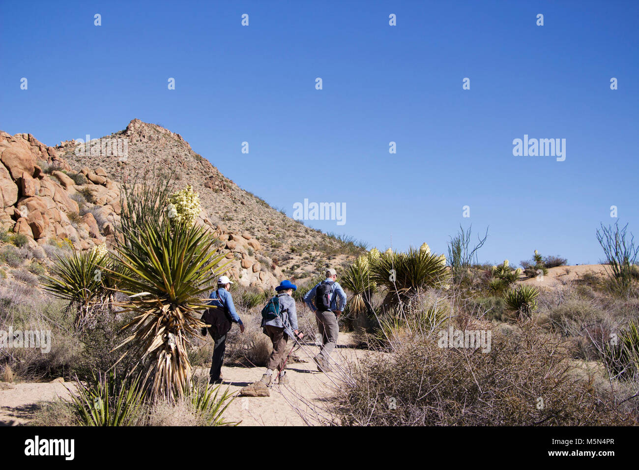 Hikers along a trail Stock Photo - Alamy