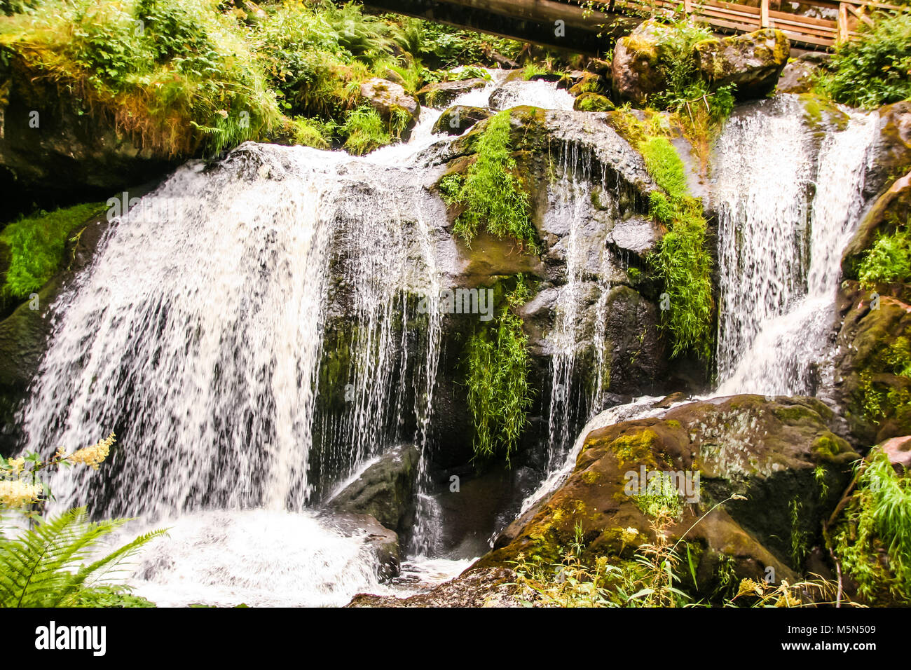 the highest waterfall of Germany at Triberg, in the black