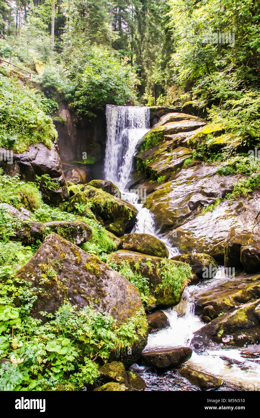 the highest waterfall of Germany at Triberg, in the black