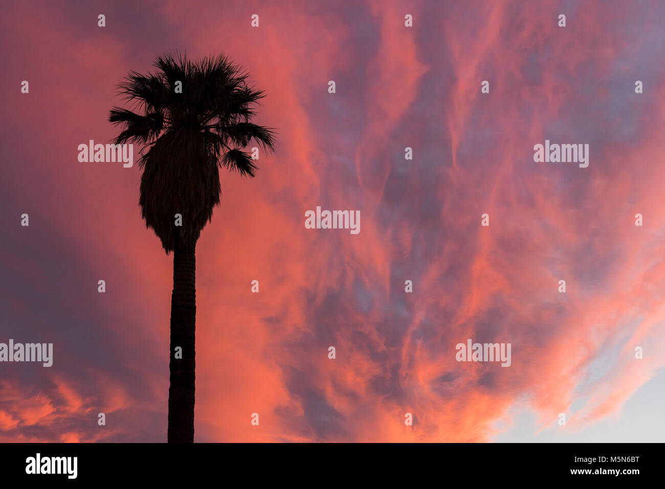 Sunset at Oasis of Mara, Twentynine Palms . Stock Photo