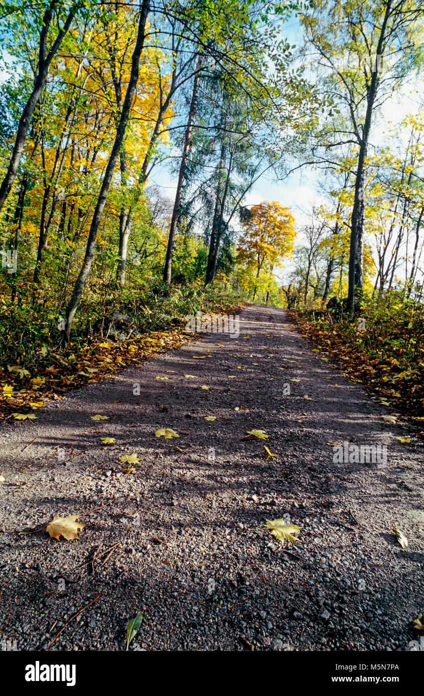 Gravel road and autumn colors. Kvicksund, Sweden Stock Photo