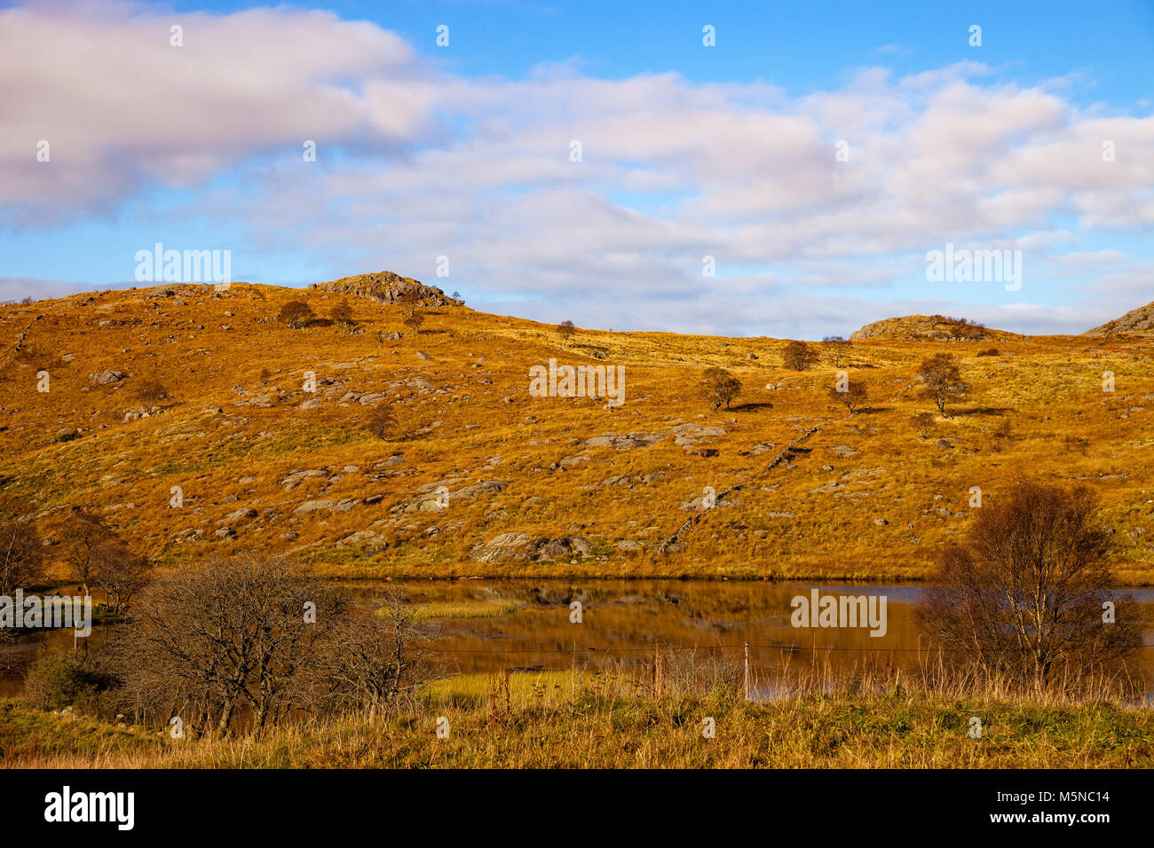 Landscape around Dalsnuten in Rogaland, Norway. Stock Photo