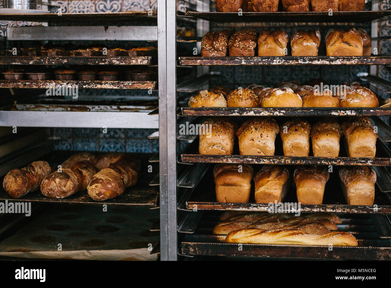 A lot of readymade fresh bread in a bakery oven in a bakery. Bread