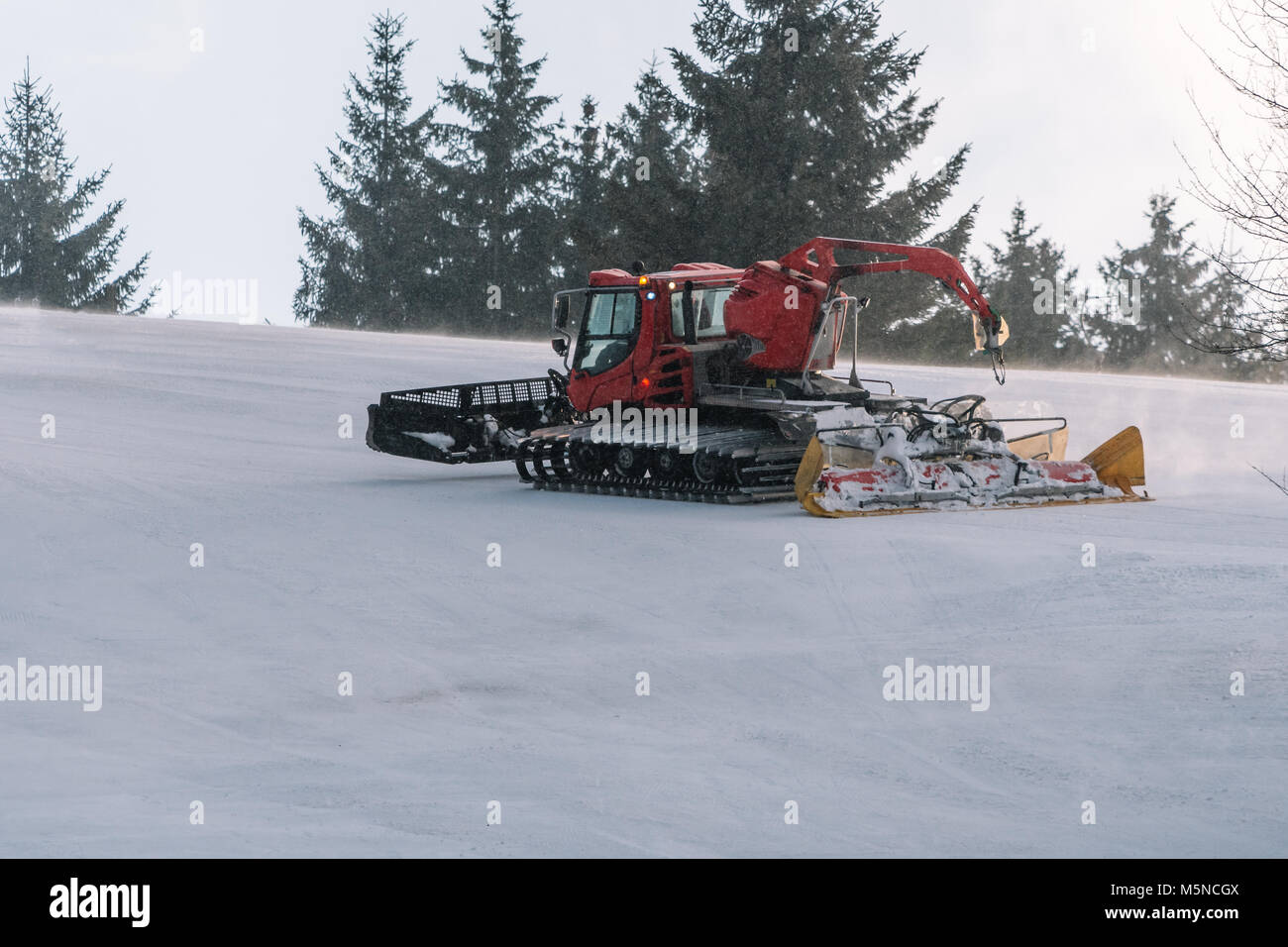 Red snowcat on snow in the winter in mountains. Ratrack improving or maintaining a ski slope. Snowing. Stock Photo