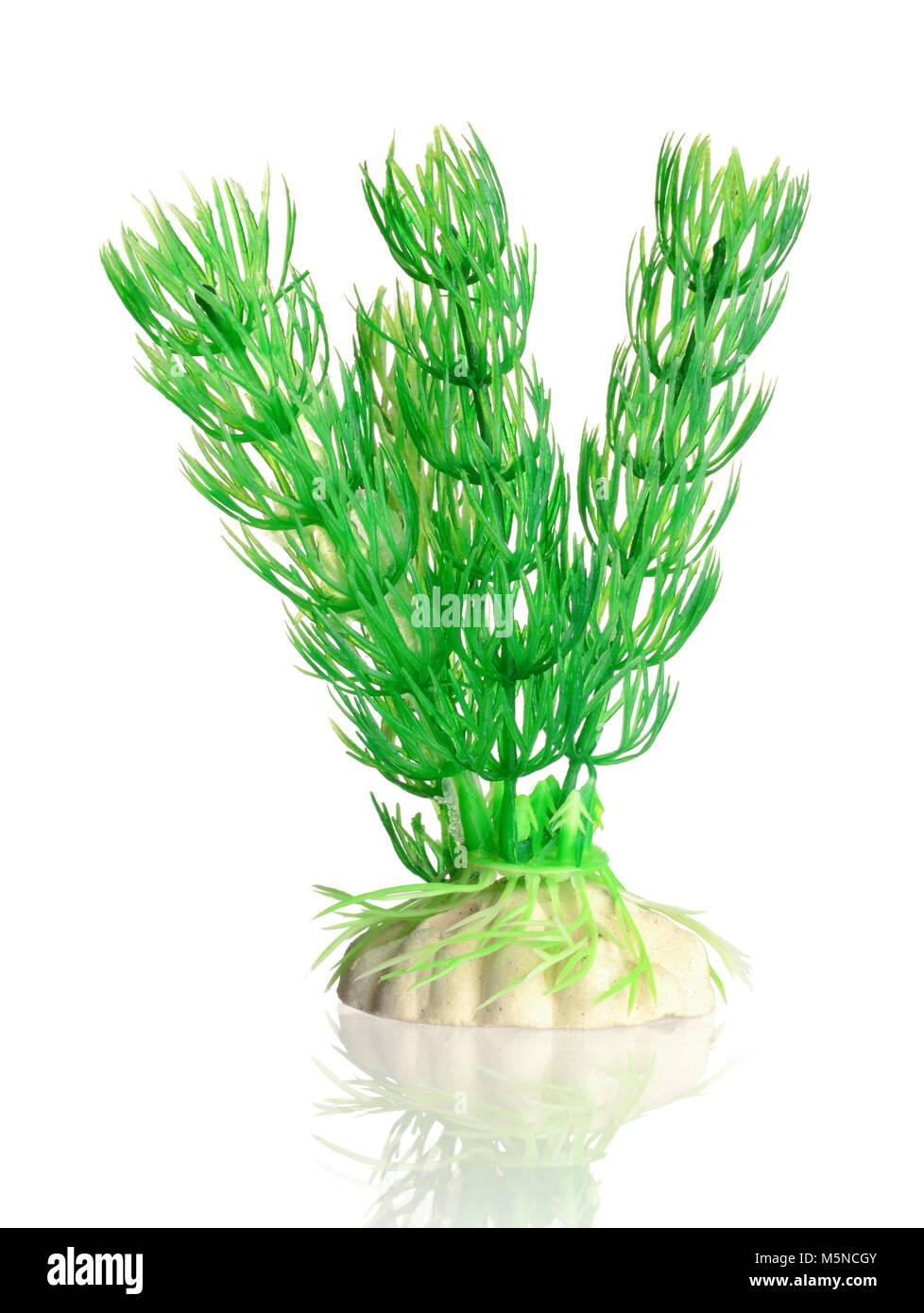 Artificial aquarium plants isolated on white background Stock Photo Alamy