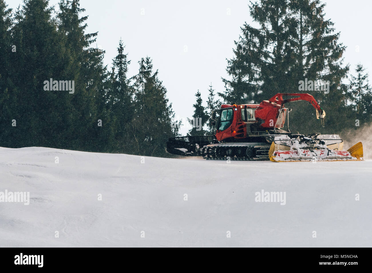 Red snowcat on snow in the winter in mountains. Ratrack improving or maintaining a ski slope. Snowing. Stock Photo