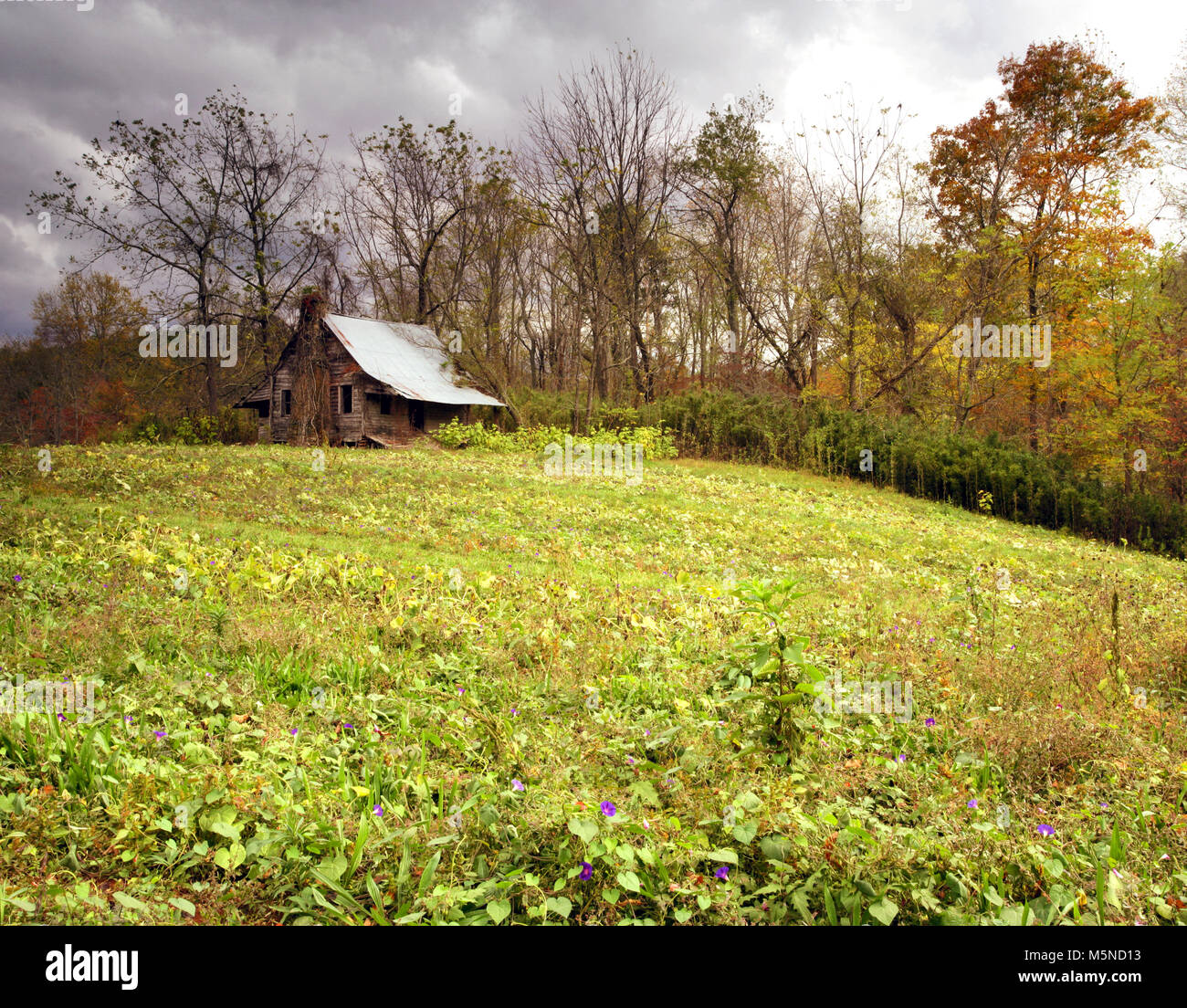 A fall view of the Georgia countryside near Blairsville, USA Stock Photo