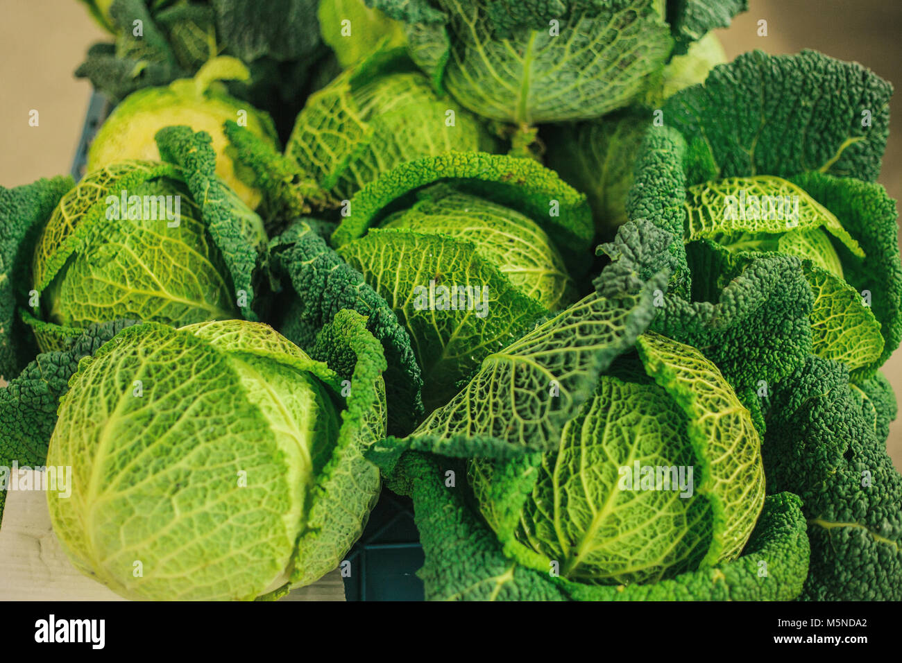 Fresh cabbage on the farmers market. Dietary and vegetarian product ...