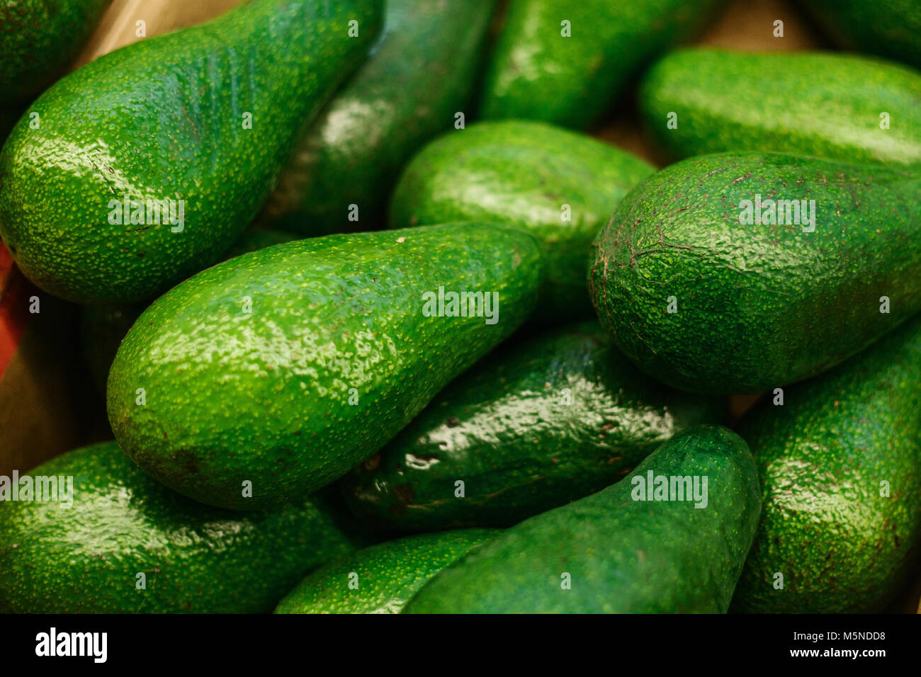 Green fresh delicious avocado. Healthy nutritious food. Stock Photo