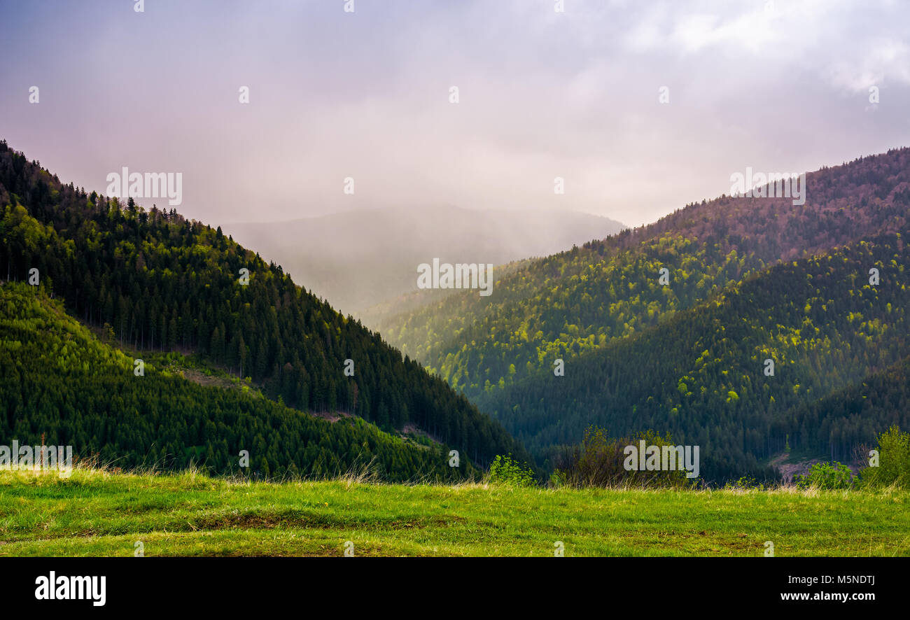 mountains on a cloudy springtime day. beautiful nature scenery with forested hills Stock Photo