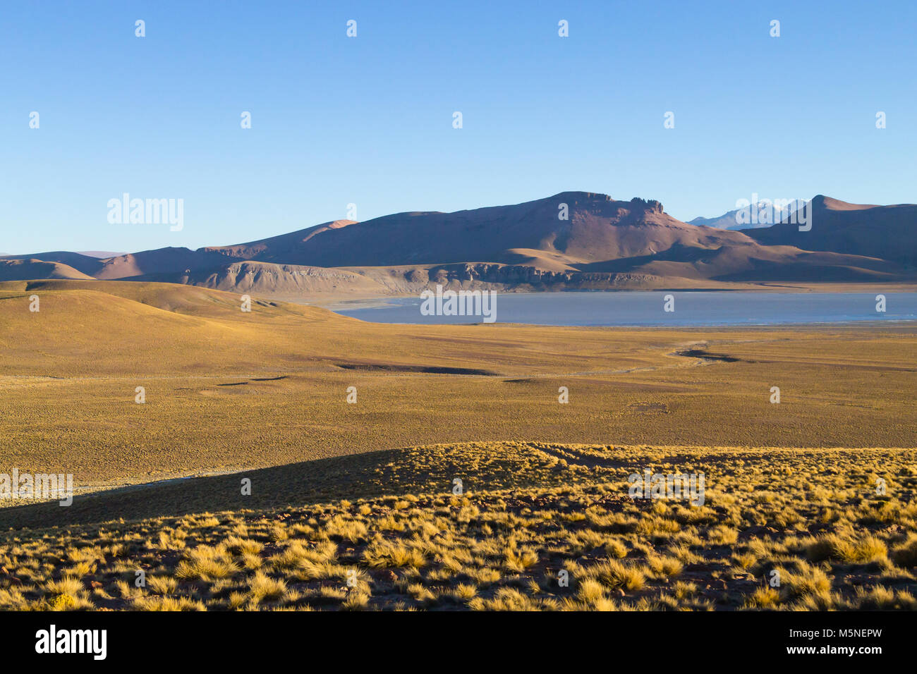 Morejon lagoon hi-res stock photography and images - Alamy