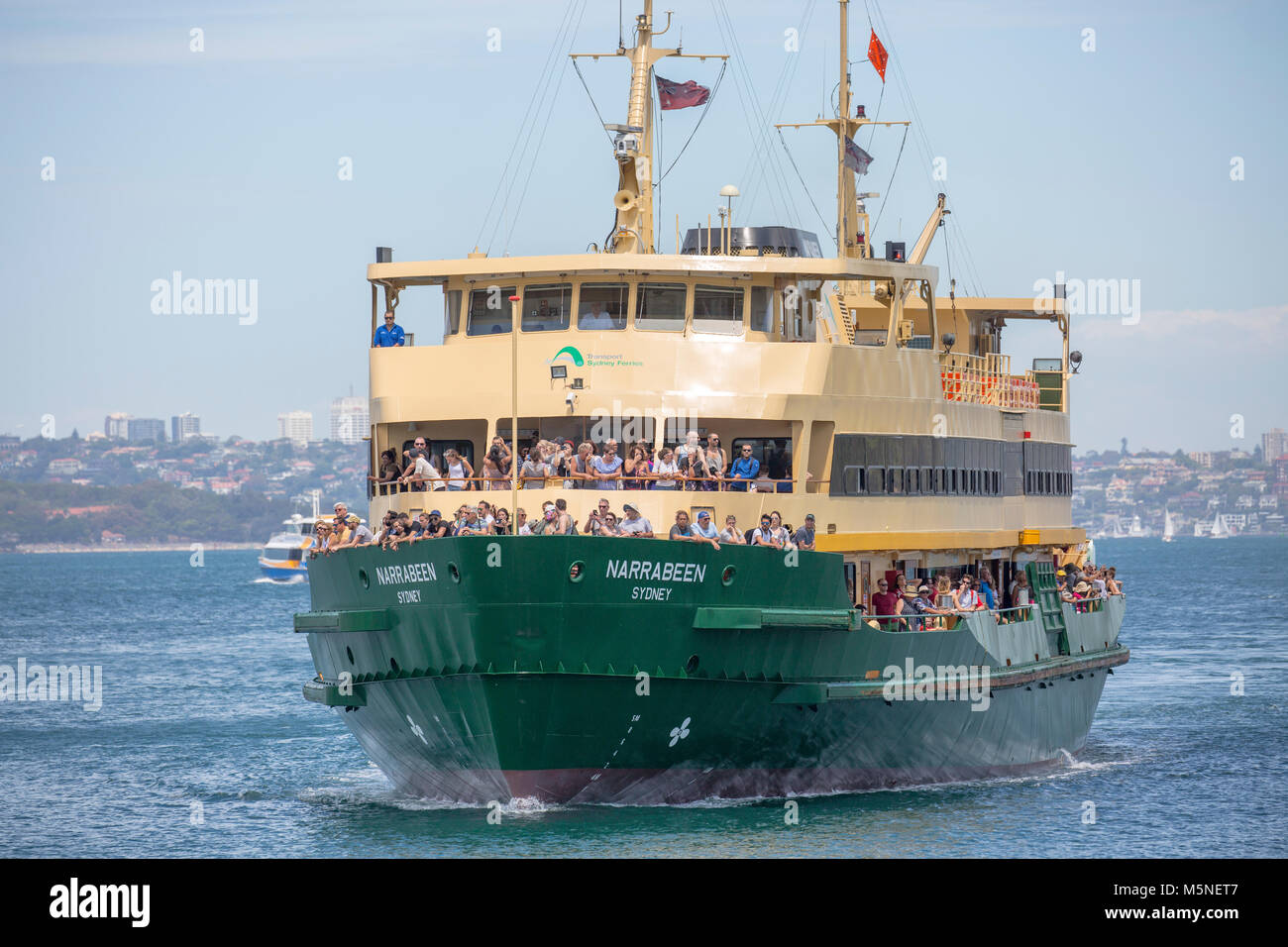 Sydney ferry Narrabeen approaching Manly Wharf in Sydney,Australia Stock Photo