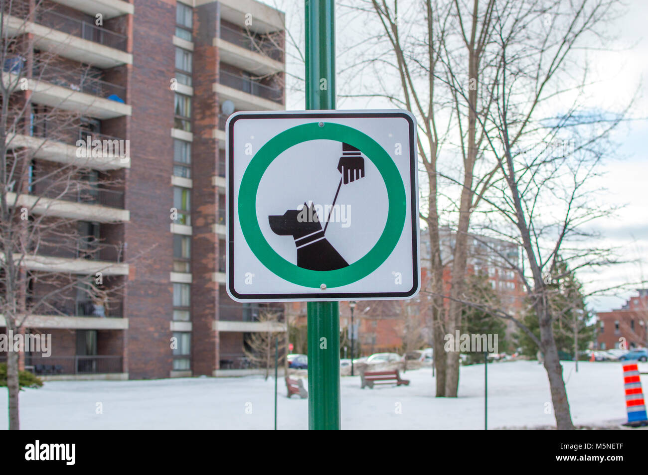 Leashed dogs allowed sign and modern condo buildings with huge windows