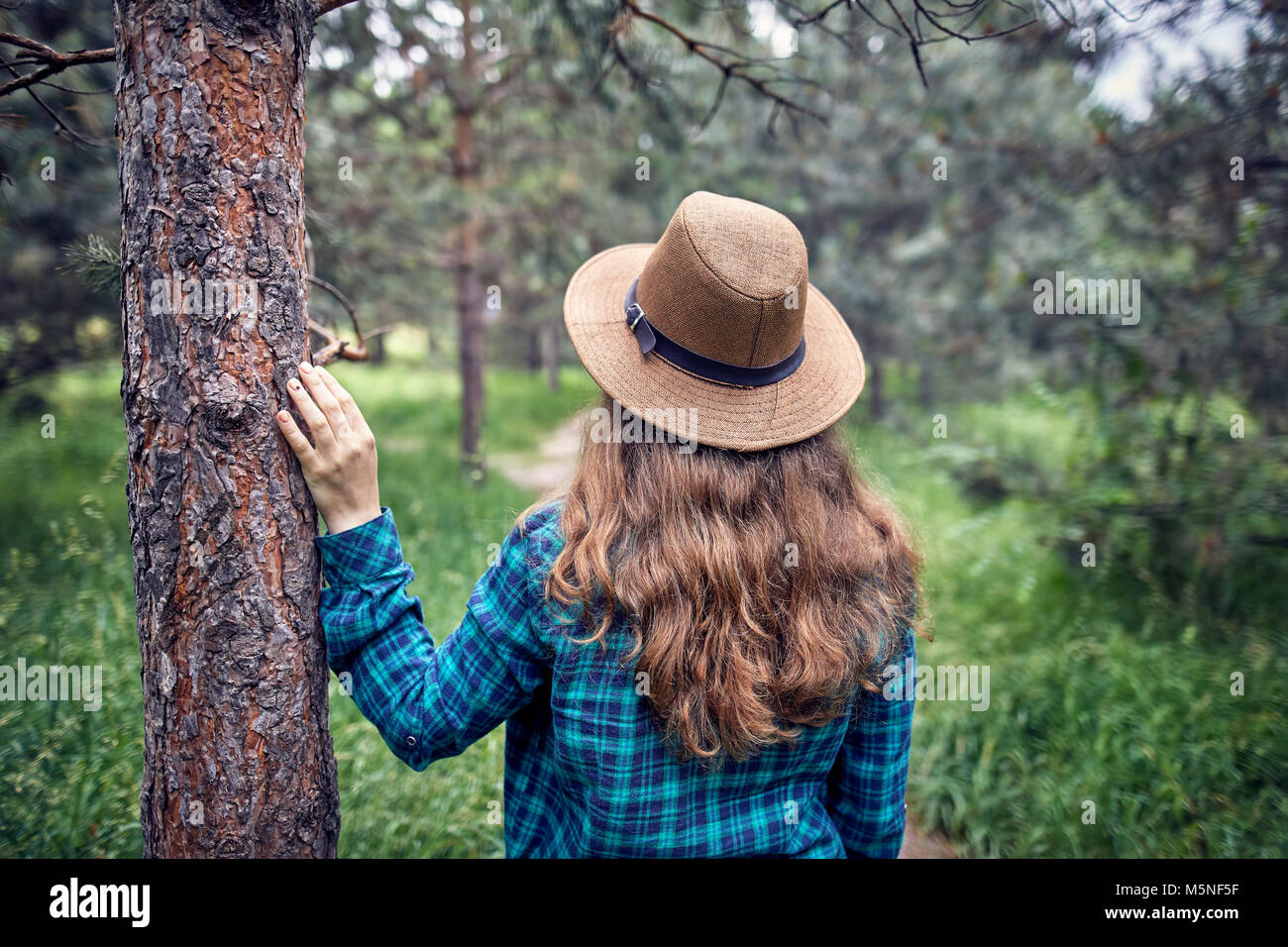 Young woman in brown hat and green checked shirt with long hair touching the pine tree in the forest Stock Photo