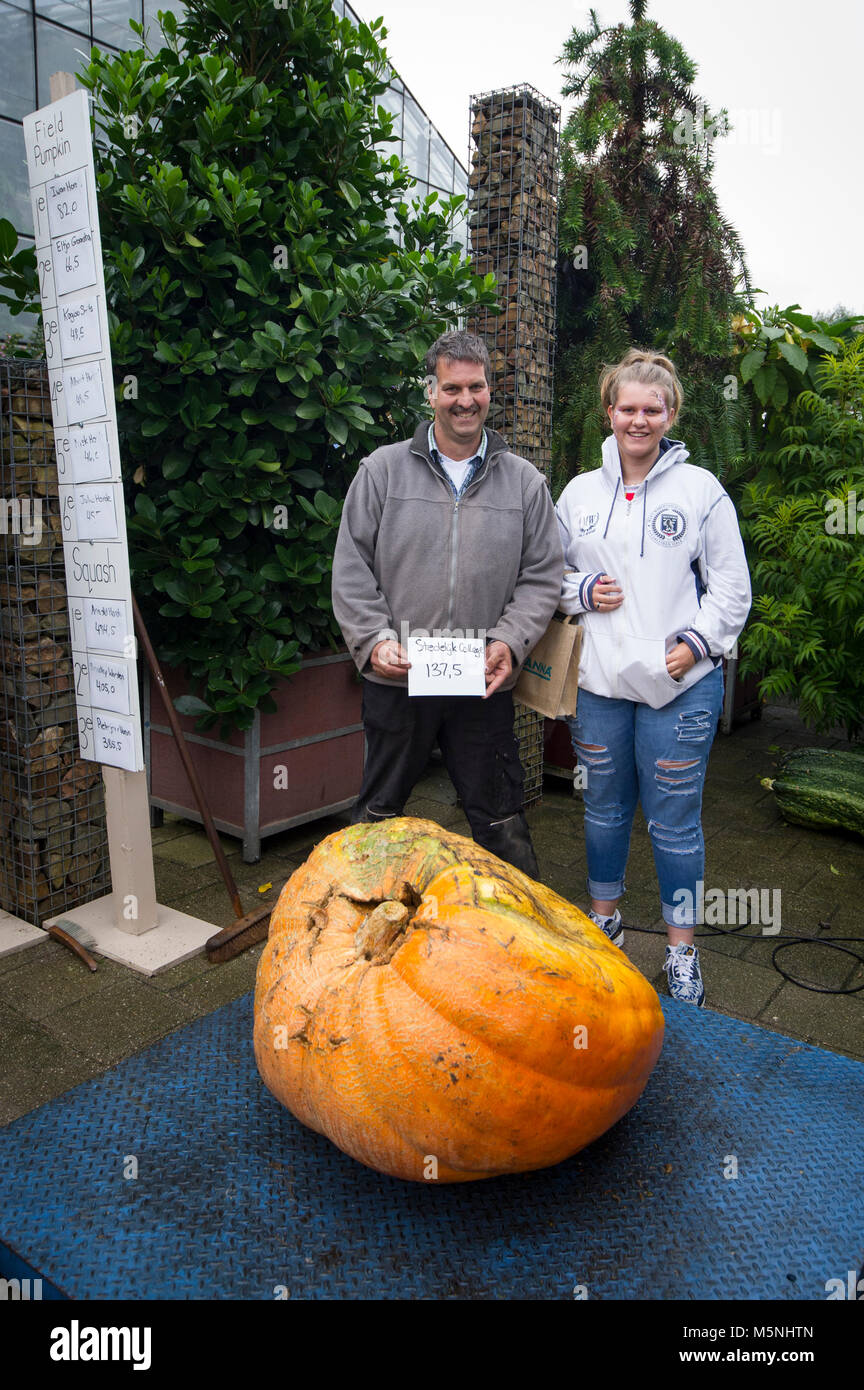 Growing pumpkins. Dutch Championship. Utrecht. 30-09-2017. Stock Photo