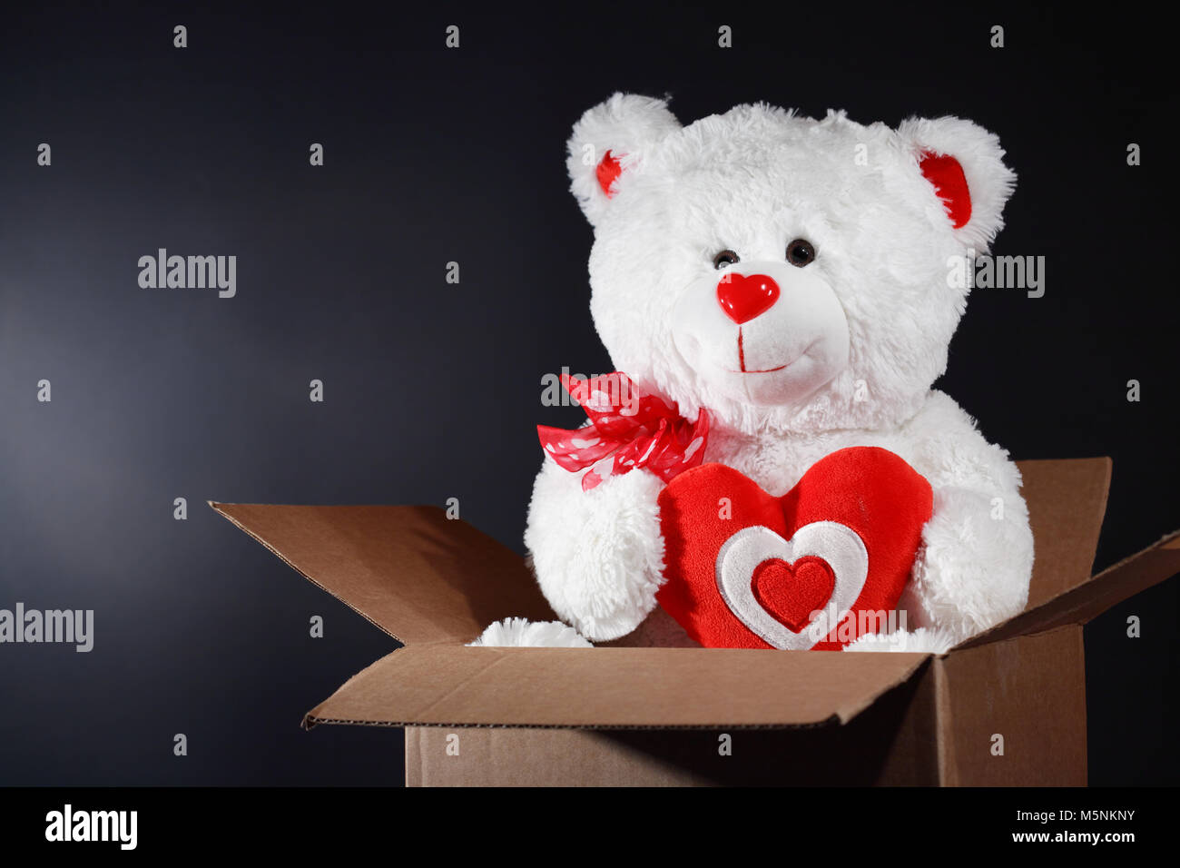 Taddy bear hi-res stock photography and images - Alamy