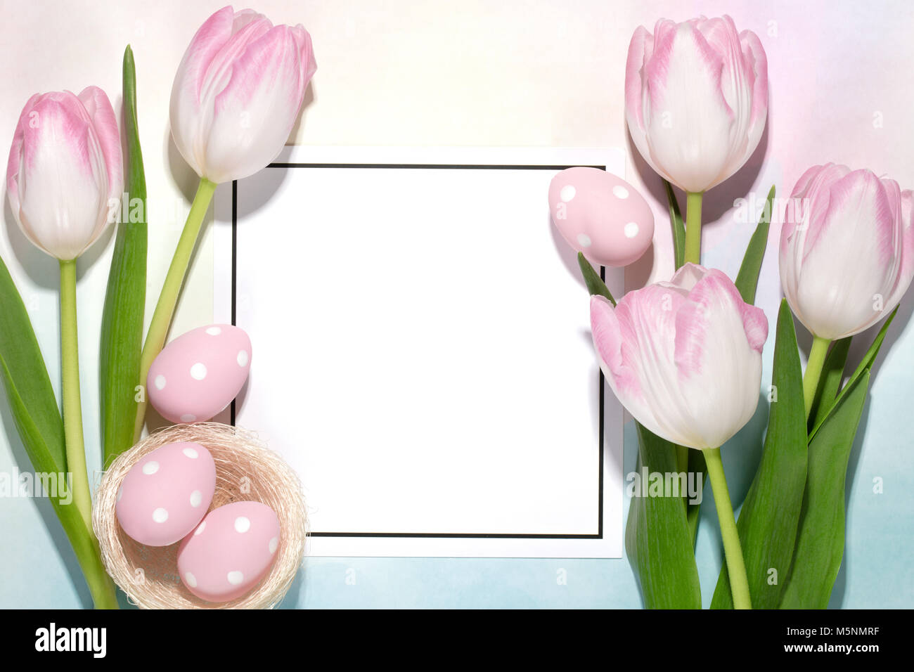 Easter eggs,tulip flower and blank card Stock Photo
