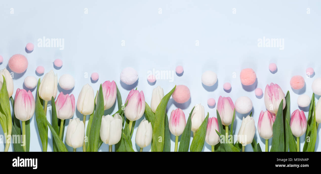 Easter eggs and tulip flower on blue background Stock Photo