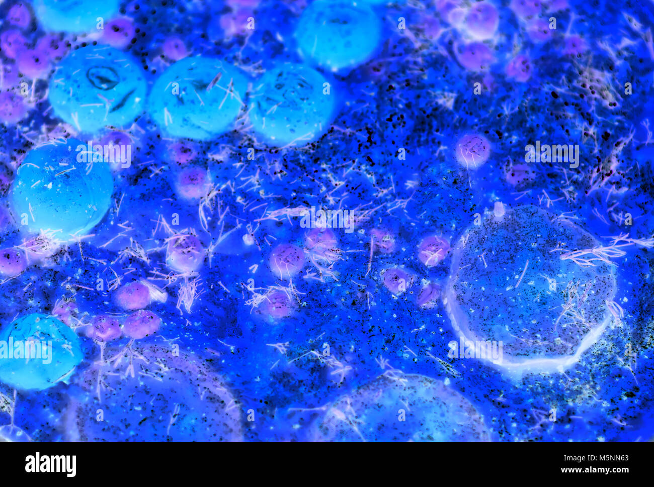 Abstract background with rounded substance in blue ocean of strange essence Stock Photo
