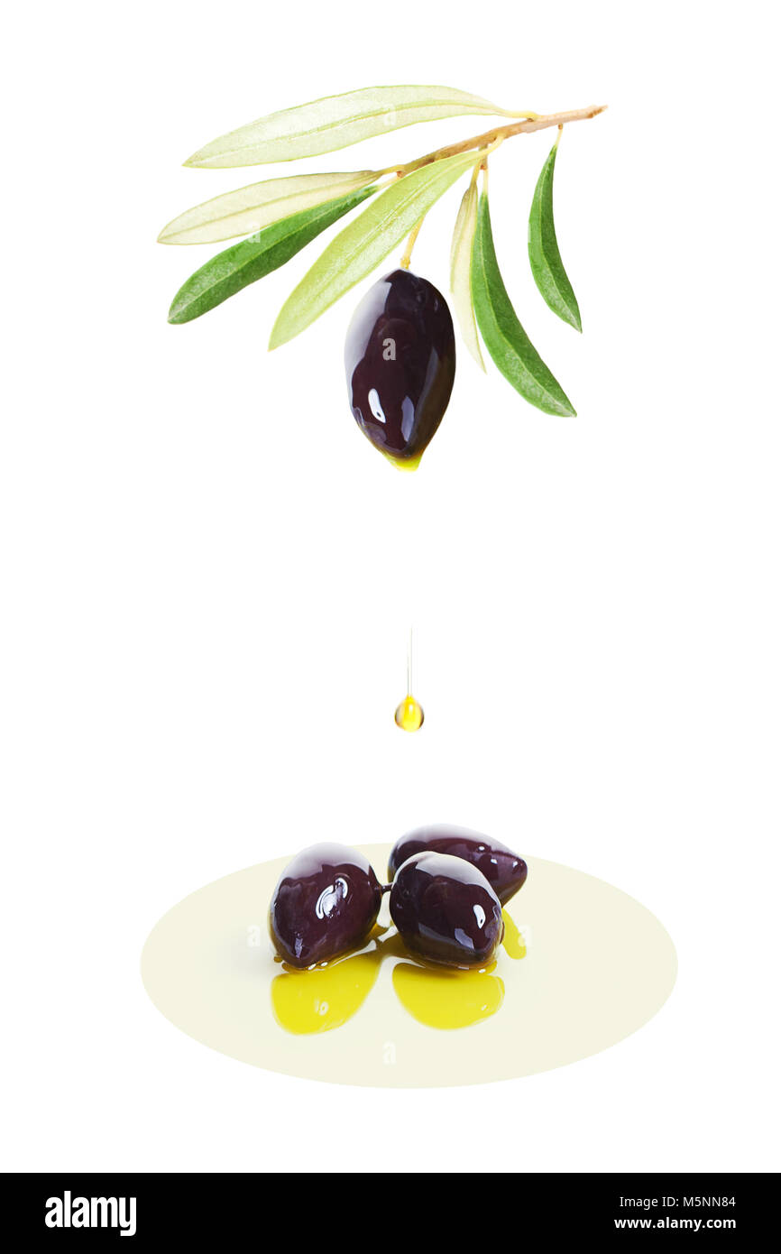 Black Olive Fruit and Falling Drop of Biological Olive Oil on White Background Stock Photo