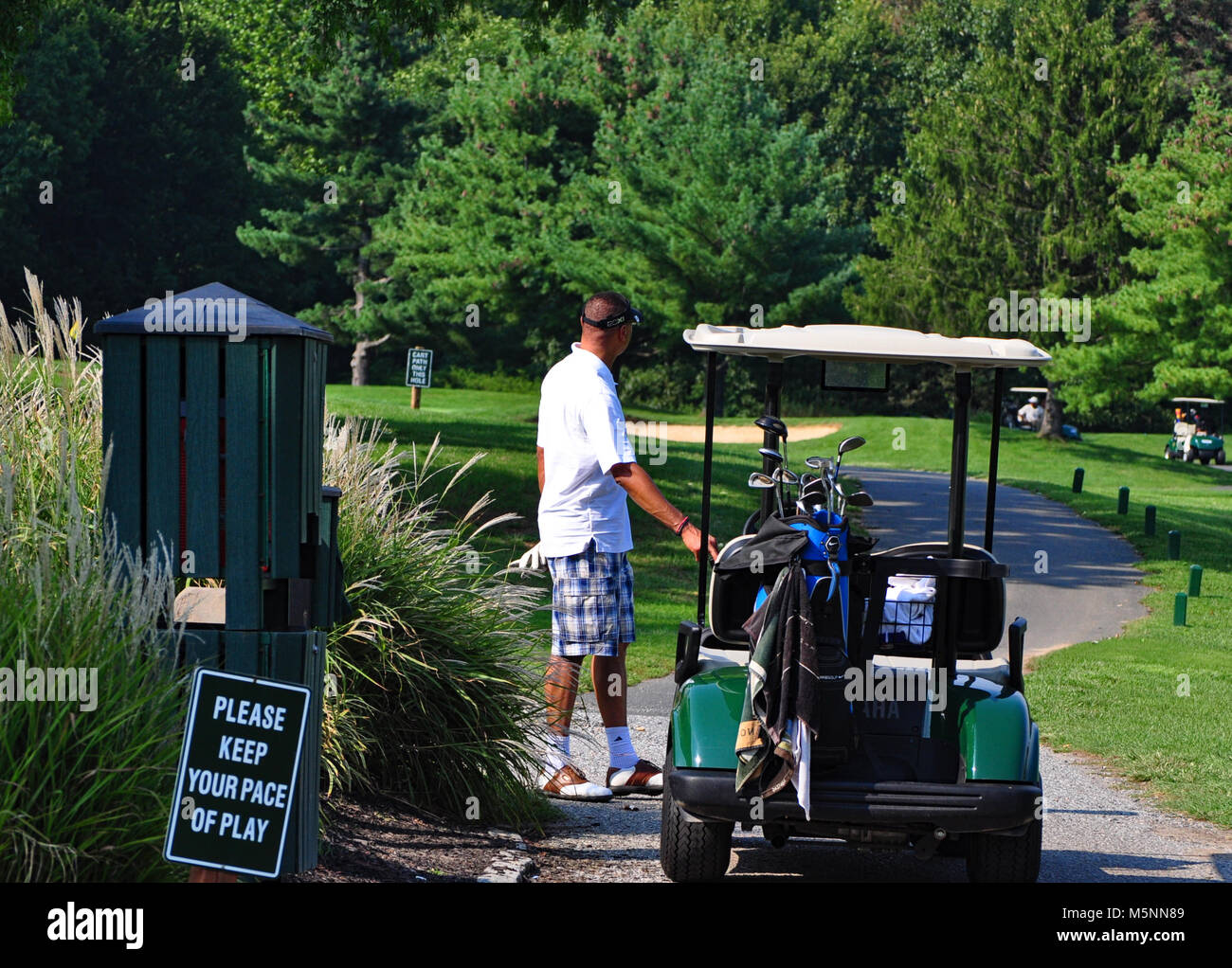 Golfer getting in golf cart Stock Photo Alamy