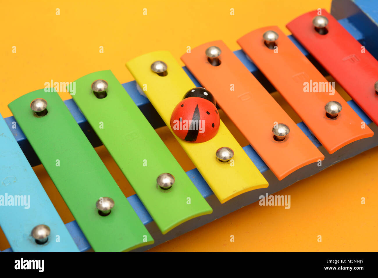 Closeup of xylophone with ladybird on top Stock Photo Alamy