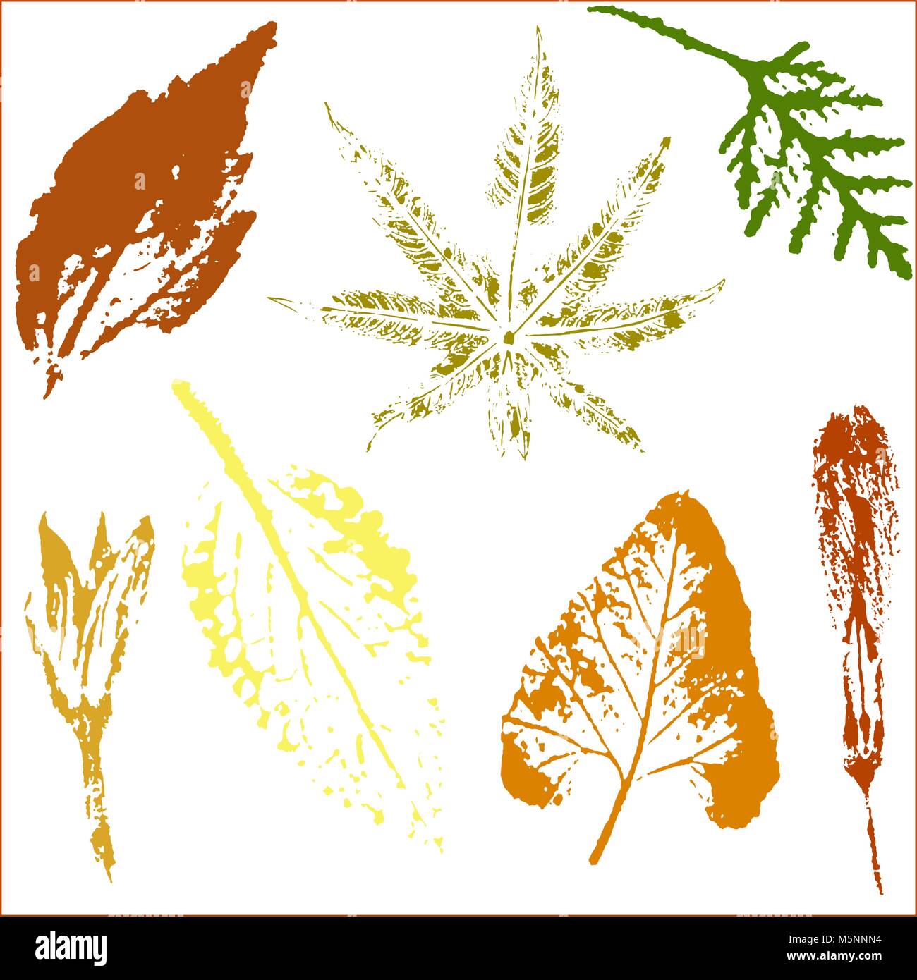Vector Branches Vector branches and leaves. Hand drawn floral elements. Vector ...