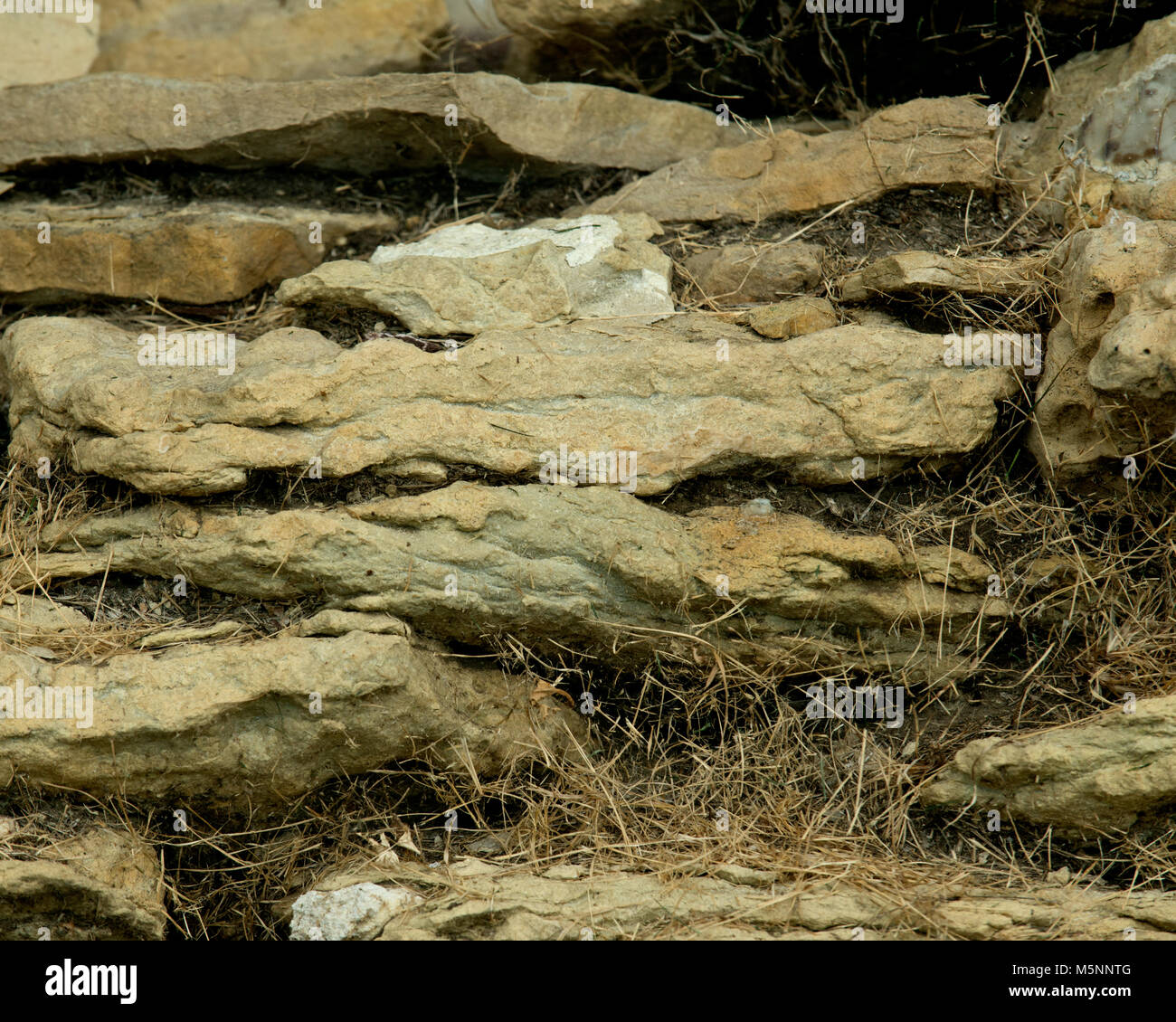 Natural carved stone wall like art texture, background Stock Photo - Alamy
