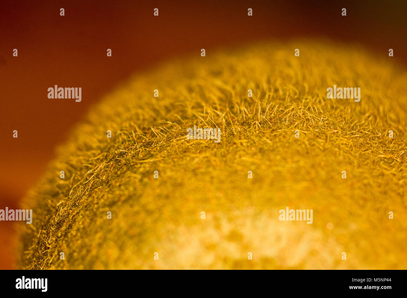 Kiwi skin close up hi-res stock photography and images - Alamy