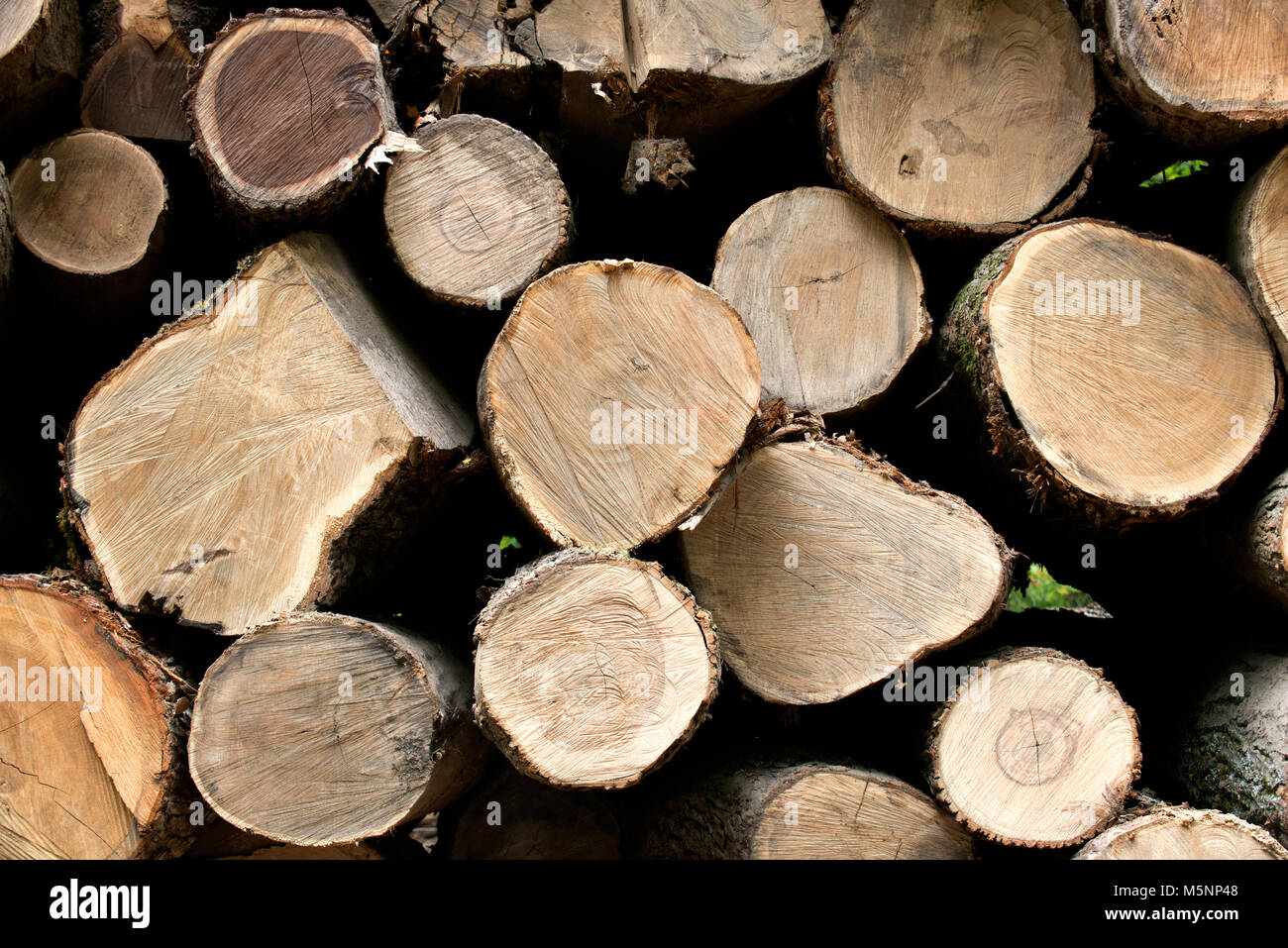 Stack, pile wood logs wooden abstract texture, background Stock Photo ...