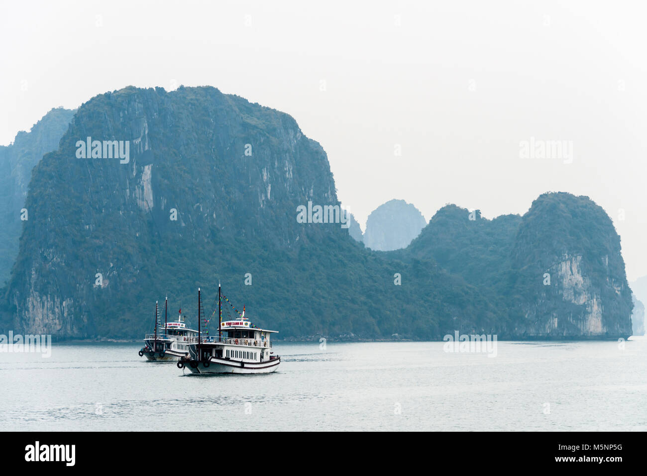 Tourist passenger cruise ships at Halong Bay, Vietnam Stock Photo