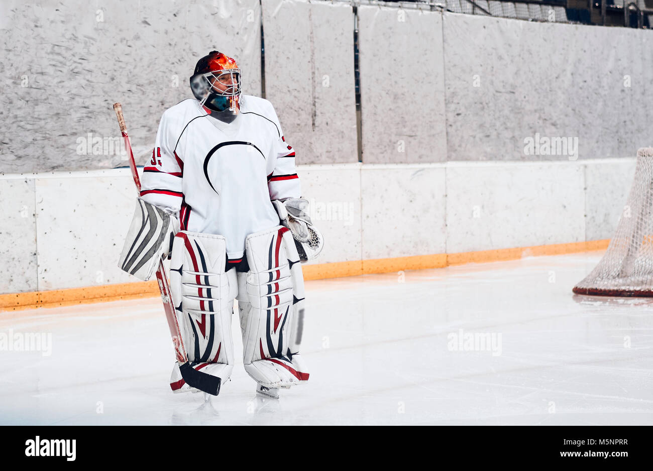 Hockey goalie in the world Stock Photo Alamy