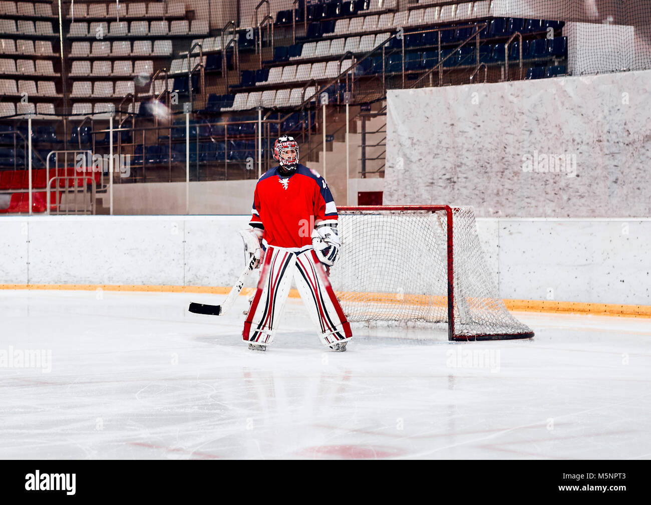 Hockey goalie in the world Stock Photo Alamy