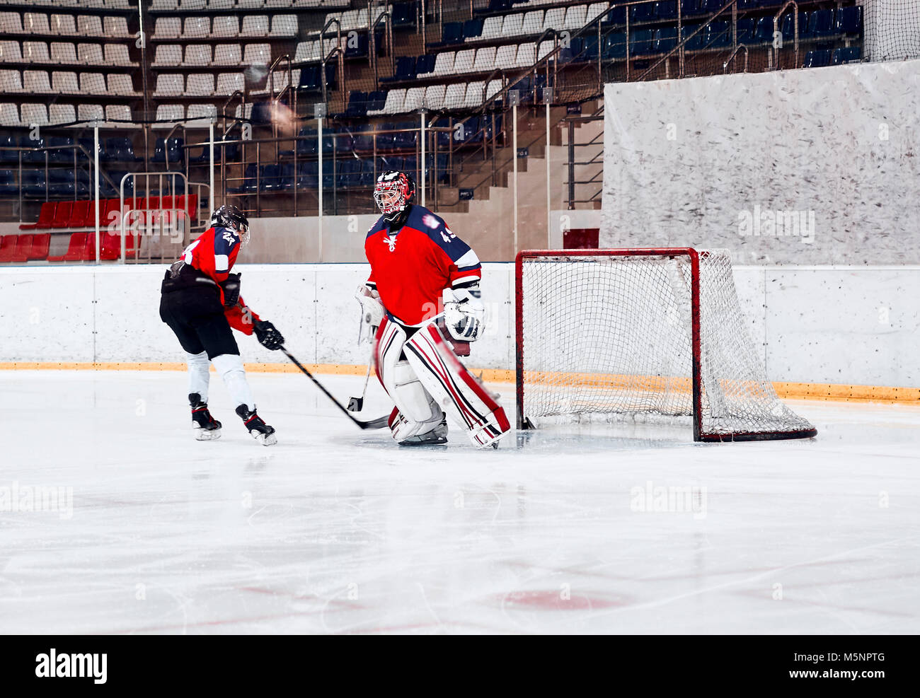 Hockey goalie in the world Stock Photo Alamy