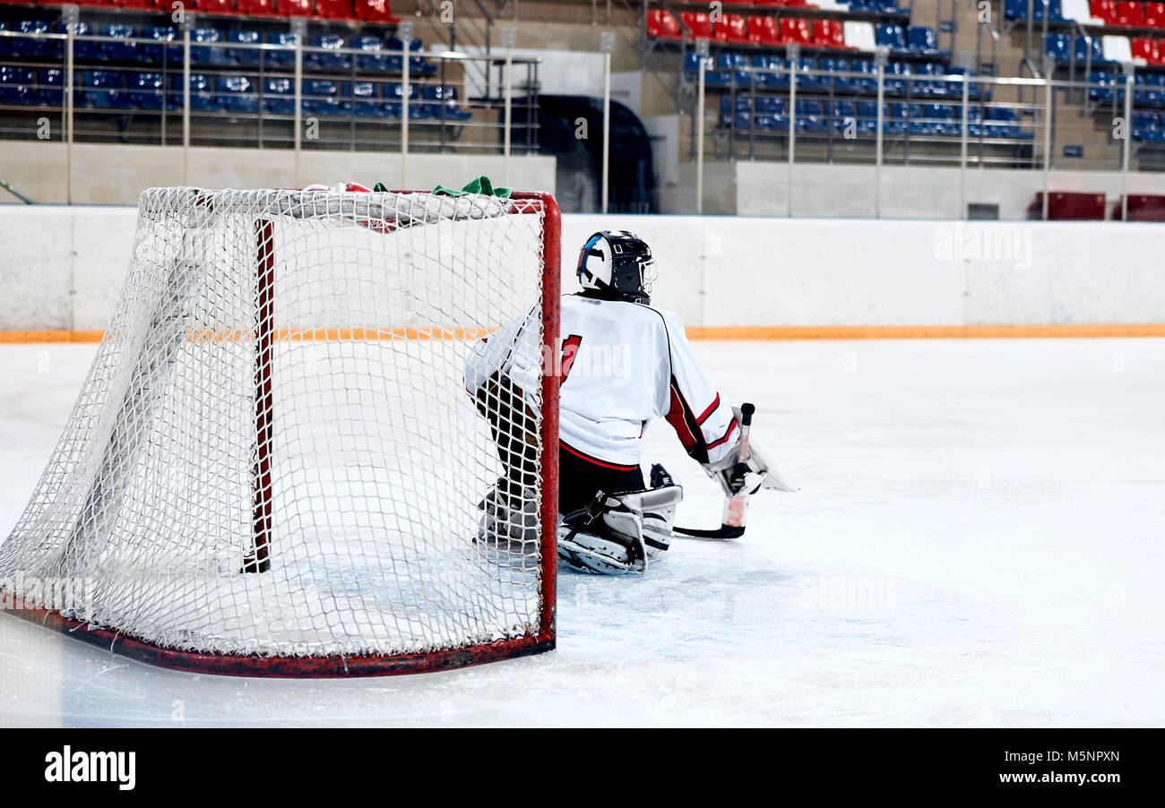 Hockey goalie in the world Stock Photo Alamy