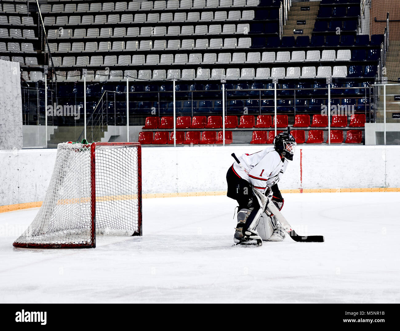 Ice hockey goalie in action hires stock photography and images Alamy