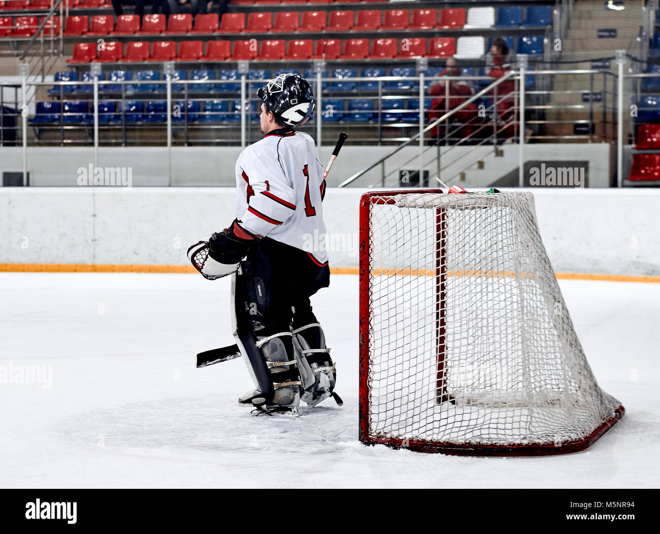 Hockey goalie in the world Stock Photo