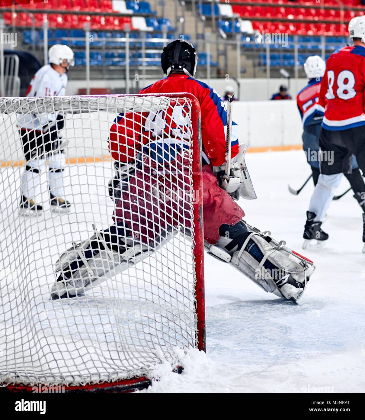 Hockey goalie in the world Stock Photo Alamy