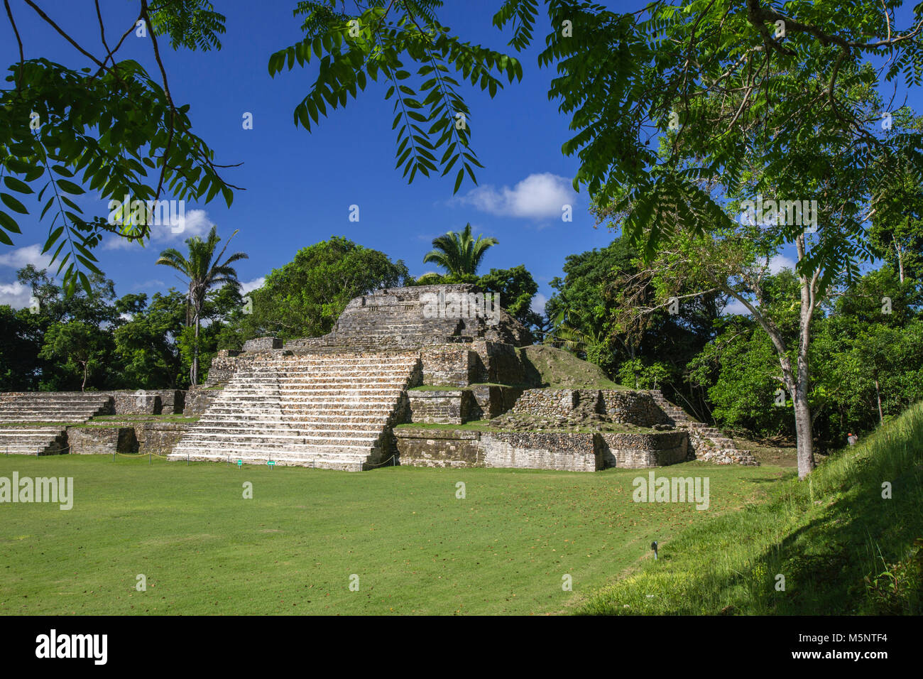 The Belize Altun Ha Mayan Ruins Stock Photo
