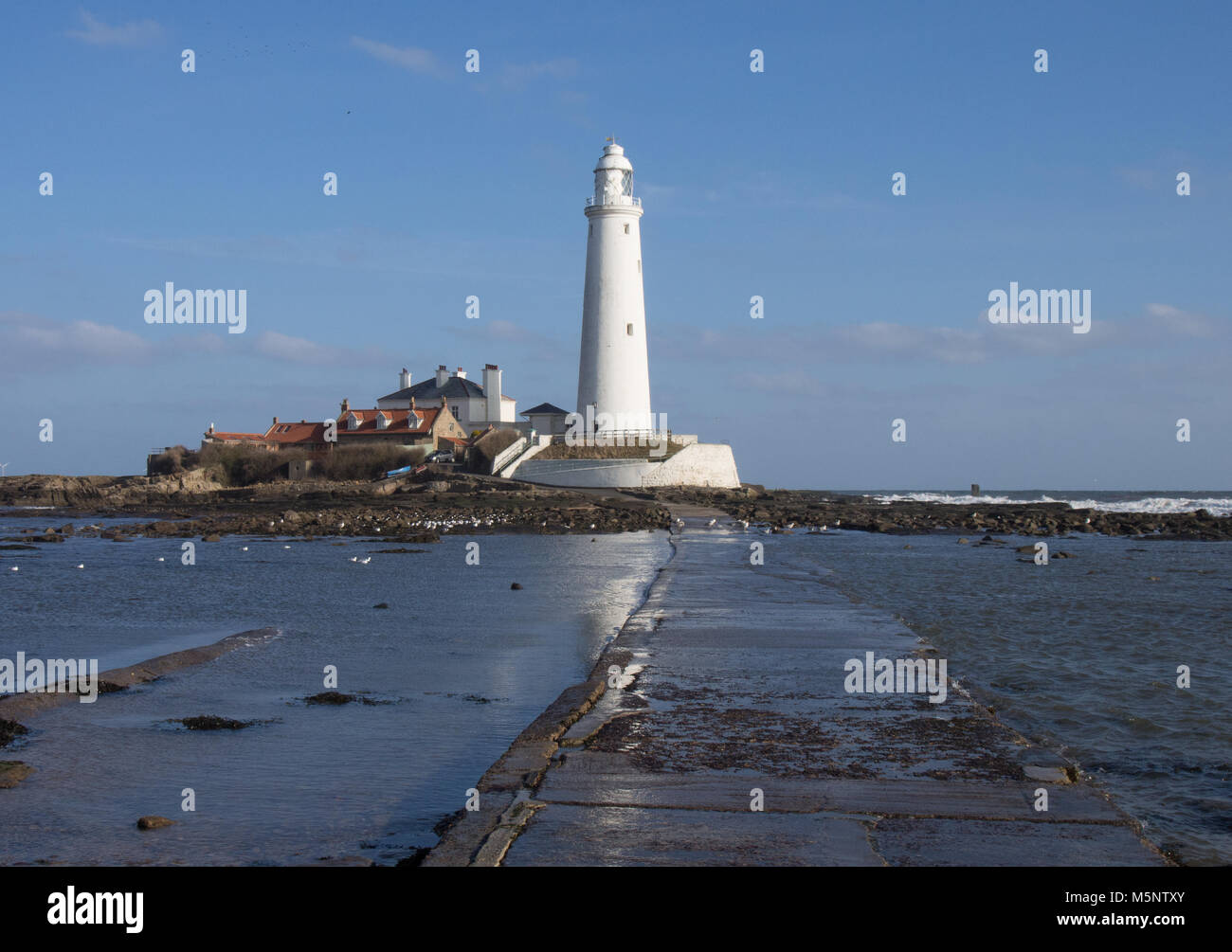 St Mary's Island, Whitley Bay, Northumberland, a bright and windy winter morning. The Lighthouse. Stock Photo