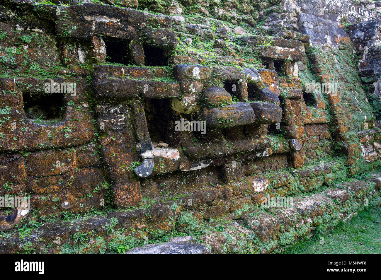 The Belize Lamanai Mayan Ruins Stock Photo