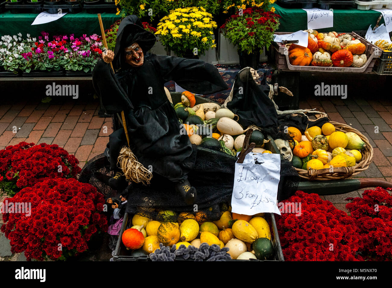 Street Market Stall Selling Flowers, Pumpkins and Squashes At Halloween, High Street, Lewes, Sussex, UK Stock Photo