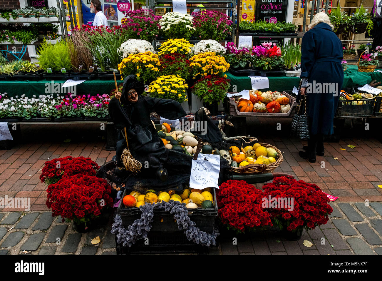 Street Market Stall Selling Flowers, Pumpkins and Squashes At Halloween, High Street, Lewes, Sussex, UK Stock Photo