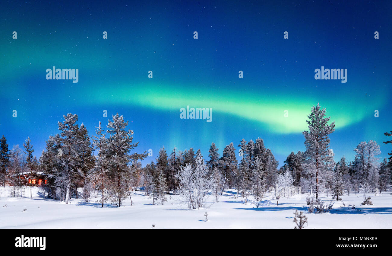 Amazing Aurora Borealis northern lights over beautiful winter wonderland scenery with trees and snow on a scenic cold night in Scandinavia Stock Photo