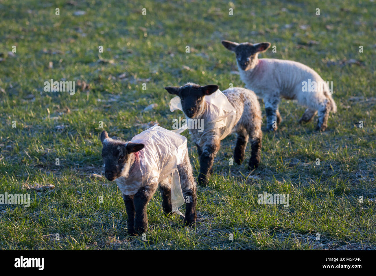 Plastic jackets hires stock photography and images Alamy