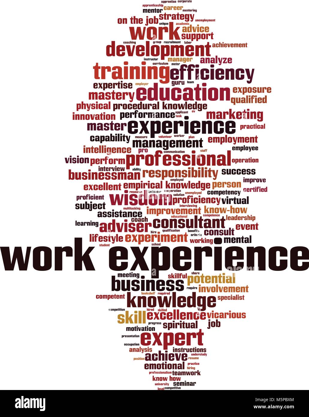 Work experience word cloud concept. Vector illustration Stock Vector