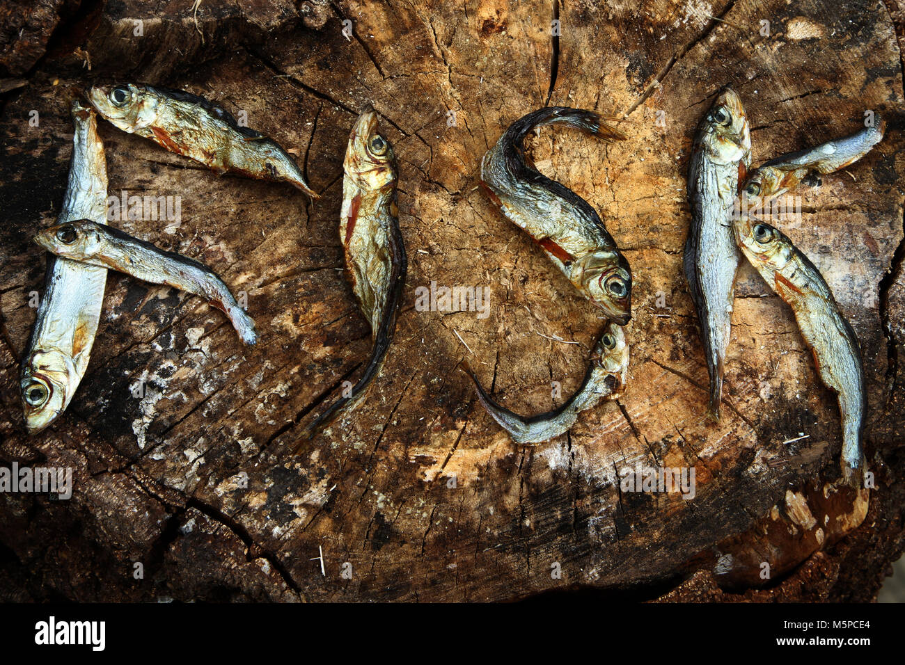 Small dried fishes forming the word fish Stock Photo