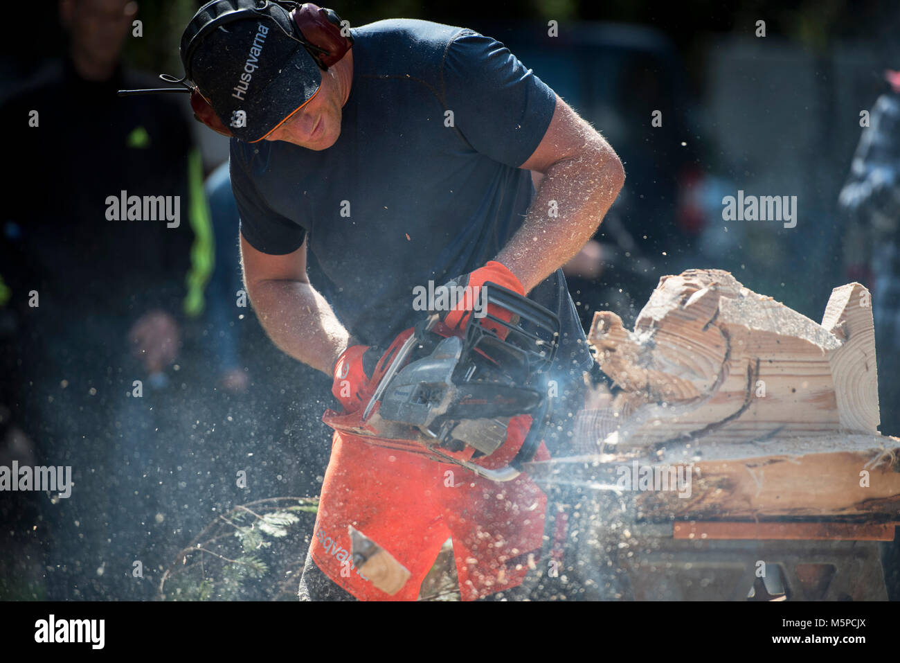 The Netherlands. Lage Vuursche. 19-08-2017. Dutch Championship chainsaw sculpting. Stock Photo