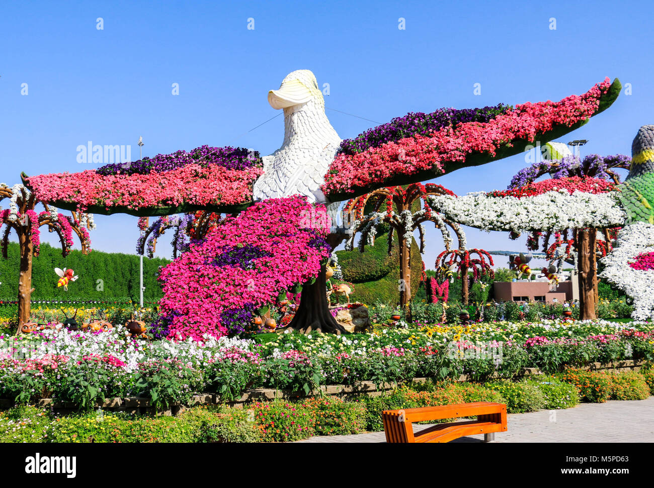Dubai, United Arab Emirates - 01/23/2019 - Beautiful Flourish Landscape of Miracle Garden with over 45 million flowers in a sunny day, Flower Garden i Stock Photo