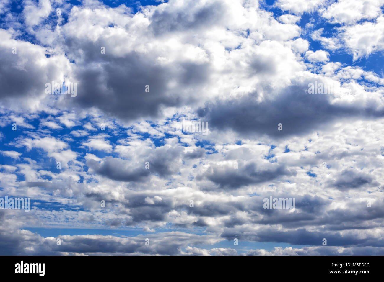 white and grey clouds in the blue sky Stock Photo - Alamy